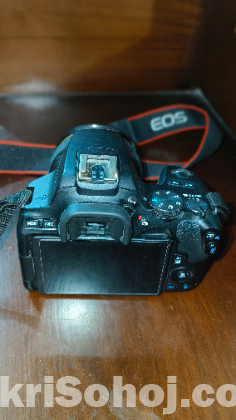 Canon 250D Camera with 50mm USM Prime lens